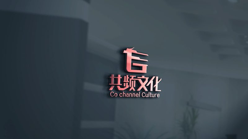专业宣传片制作报价明细：揭秘制作成本背后的秘密**